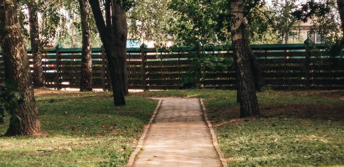 A pathway through green trees; an illustrative park photo.